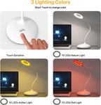 Rechargeable Cordless Desk Lamp