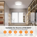 BLNAN LED Flush Mount Ceiling Light